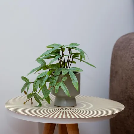 Apartment Elegant Escape