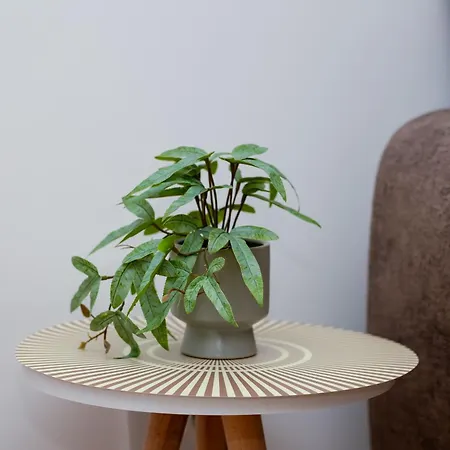 Appartement Elegant Escape